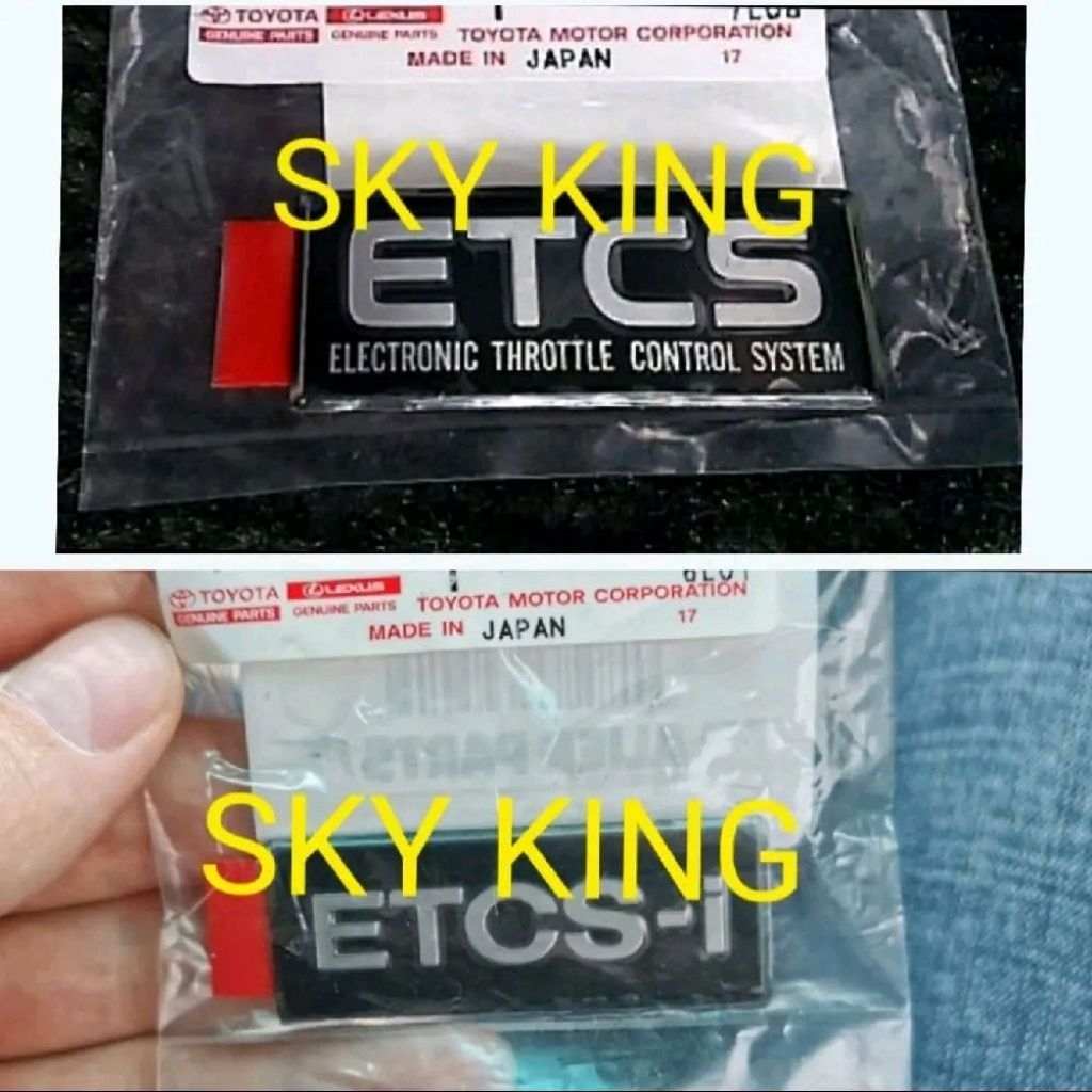 LABEL EMBLEM BADGE ETCE ELECTRONIC THROTTLE CONTROL SYSTEM ETC-I ...
