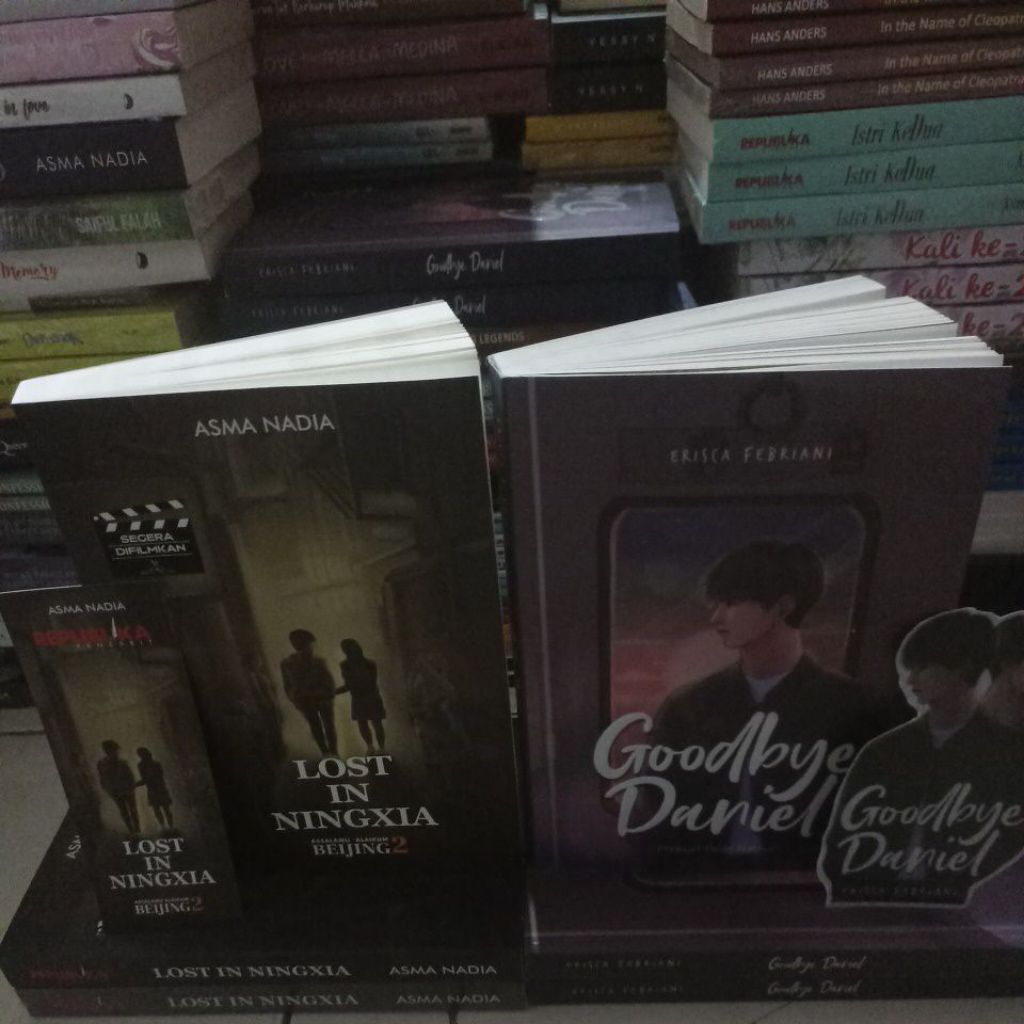 TEENAGE NOVEL 1 PACKAGE 2 BOOKS LOST IN NINGXIAA & DANIELL/ ORIGINAL ...