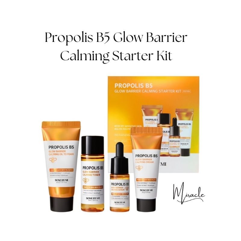 SOMEBYMI Propolis B5 Glow Barrier Calming Starter Kit | Shopee Philippines