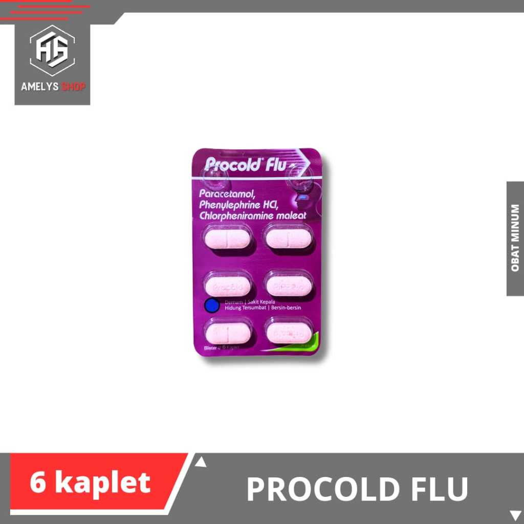 Procold Flu contains 6 Caplets | Shopee Philippines