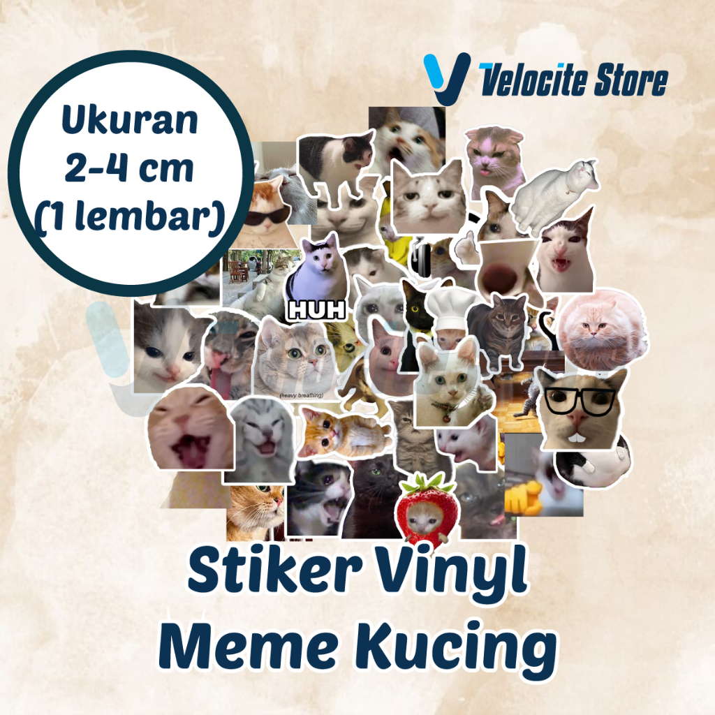 Cat Meme Vinyl Sticker Size 2-4 cm (1 sheet) | Shopee Philippines