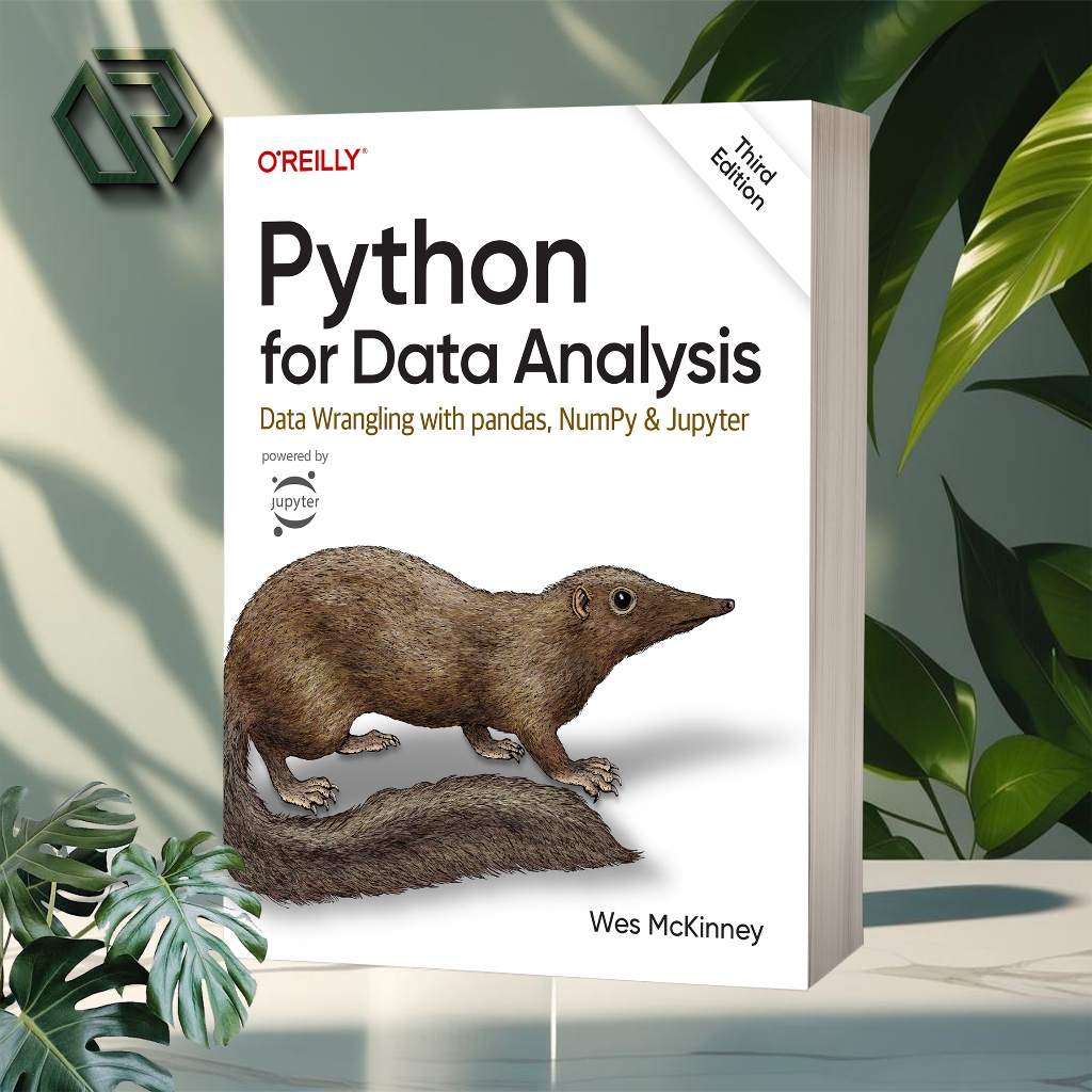 Python for Data Analysis: Data Wrangler with pandas, NumPy, and Jupyter ...
