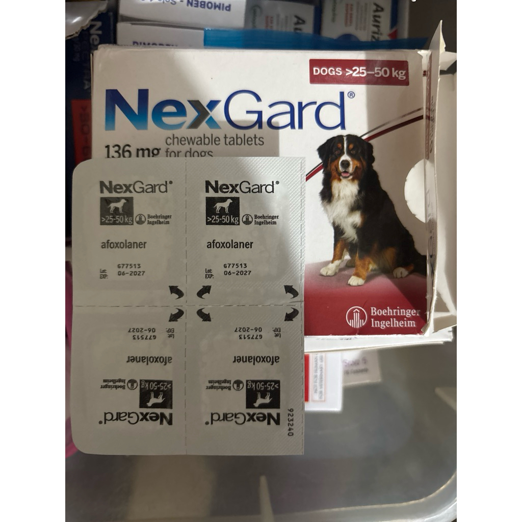 Nexgard flea medicine available in large packaging and remaining ...