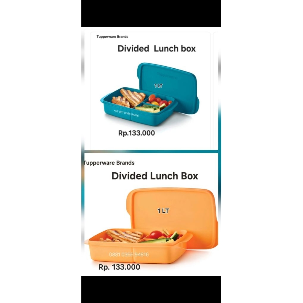 Divided L boxl lunch box l lunch box Tupperware importedl New | Shopee ...