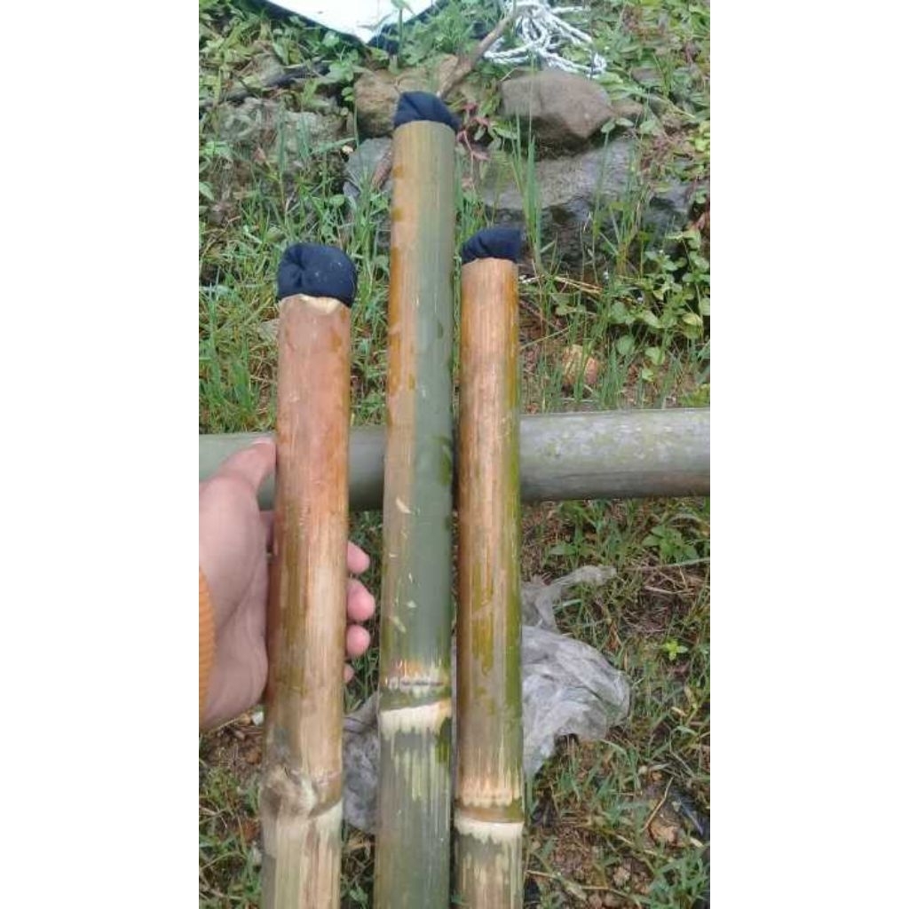 Scout bamboo torch** | Shopee Philippines
