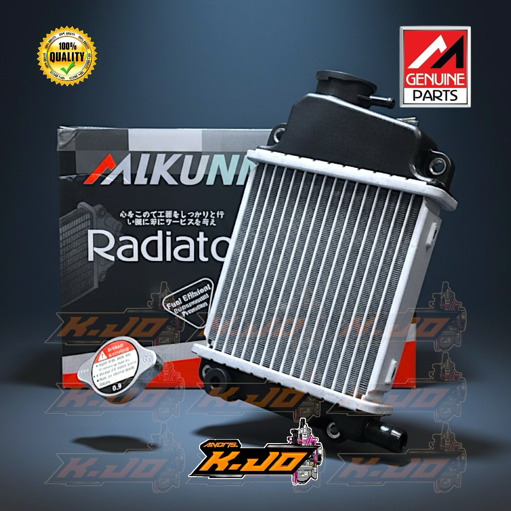 OLD VARIO CW 110 RADIATOR, VARIO TECHNO 110 BY MLKUNL | Shopee Philippines