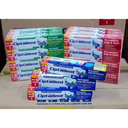 Ciptadent Maxi Toothpaste 12 Plus All Variants [12pcs x 120gr] PACK ...