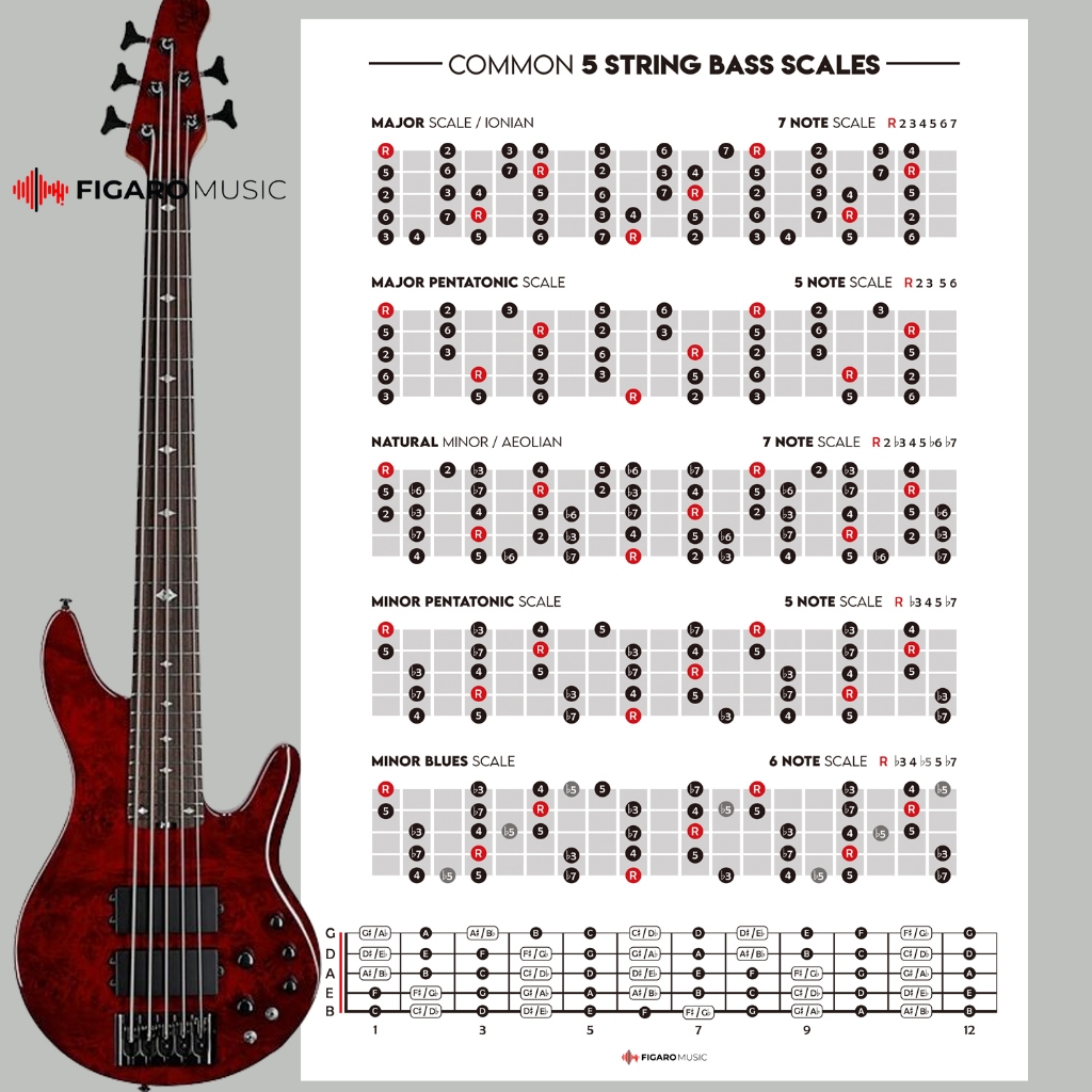 Five String Bass Guitar Scales Poster, Bass Scales Reference, Student ...