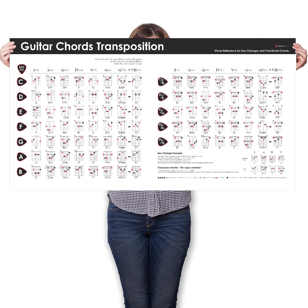 Guitar Chord Transposition Chart Poster, Functional Chords ...
