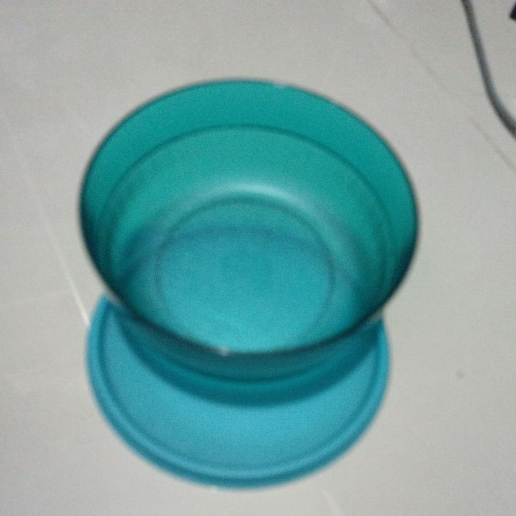 Tupperware individual bowl glitterTOSCA | Shopee Philippines