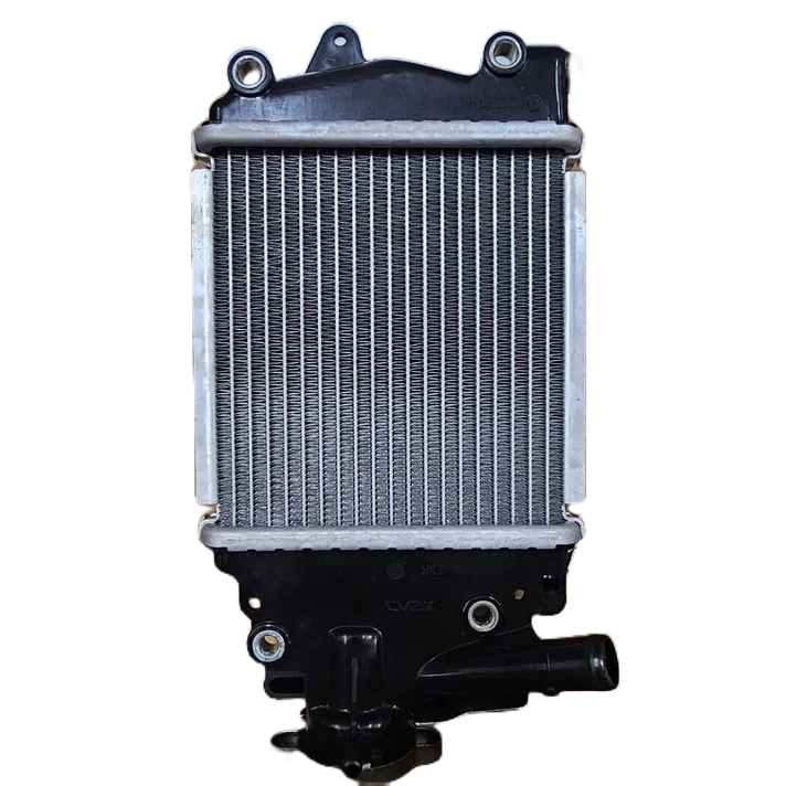 Honda Click 125. RADIATOR | Shopee Philippines