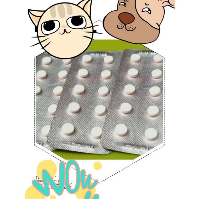 Vomiting Resistant Medicine For Cats 10 Seeds/strip (Meto) Shopee