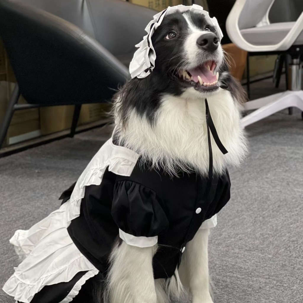 Golden Garden Dog Dress