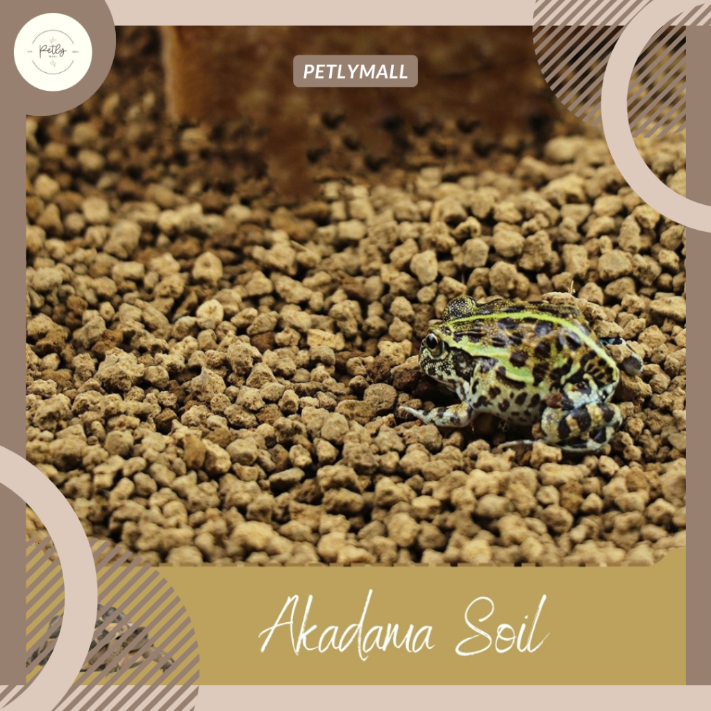 [PetlyMall] Reptile Akadama Soil Bedding Substrate be Gecko Frog