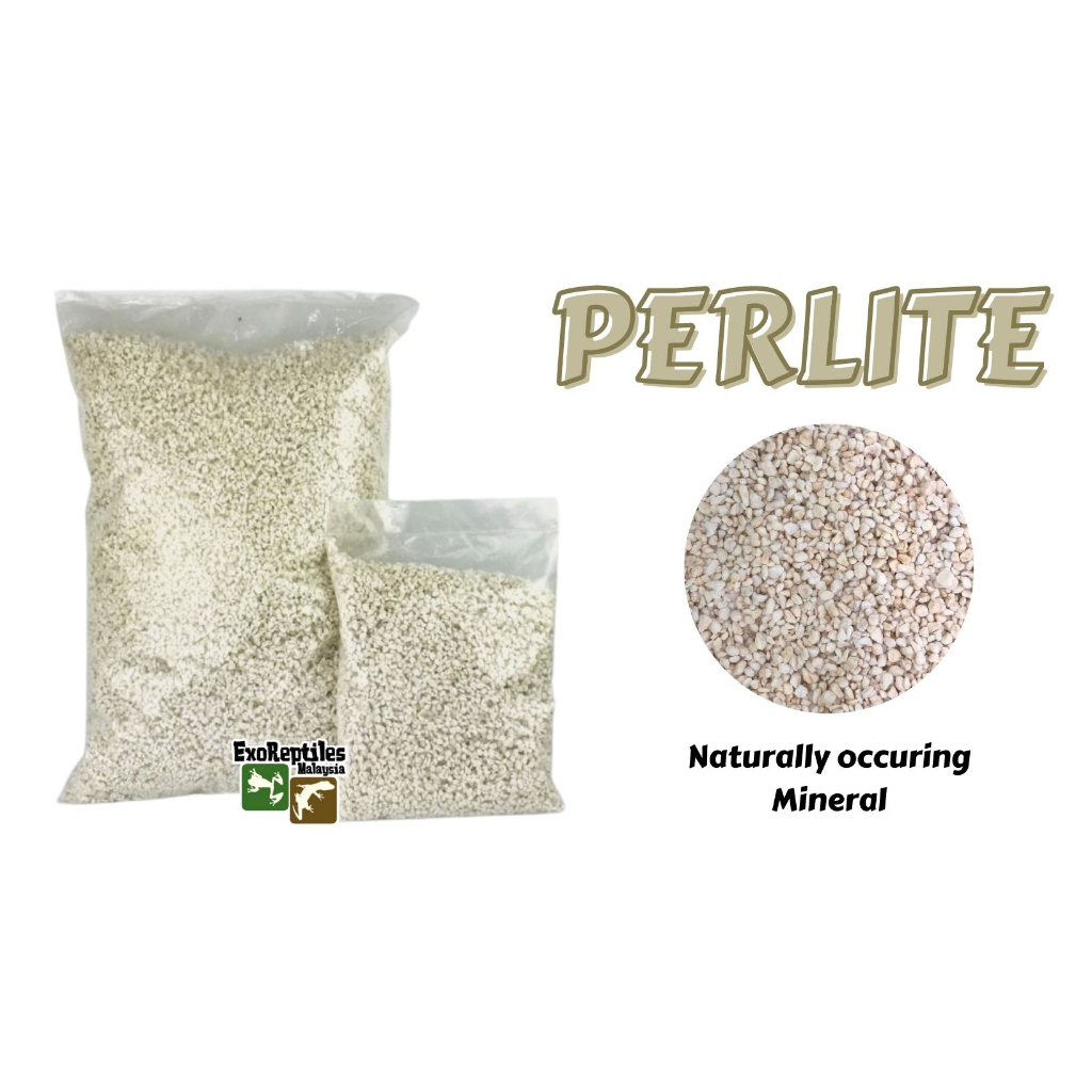 PERLITE - BEDDING / REPTILE EGG INCUBATOR SUBSTRATE 1L 8L | Shopee ...