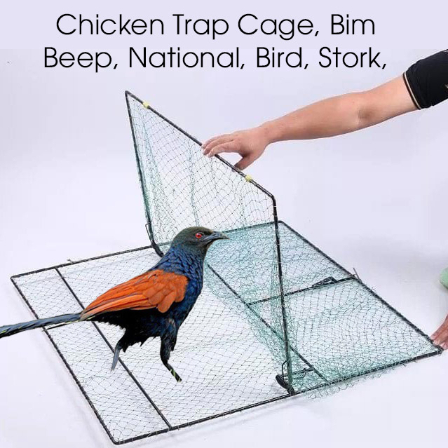 Set 2 Chicken Traps, Bird Traps, Trapping Hunting Quail Cage Sparrow ...