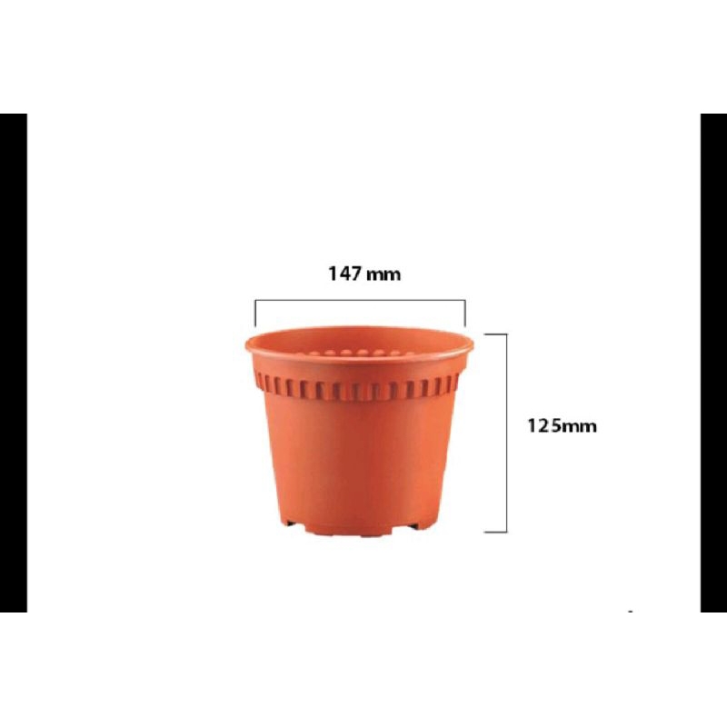 Pasu baba BI-RD 150/170 20cm/23.3cm Flowerpot (1set 20pc 1 Set 20 Pcs ...