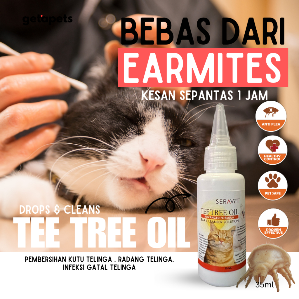 Ear Lice Cleaning Treatment, Anti Kulat & Failure, Bacteria, Cat Skin