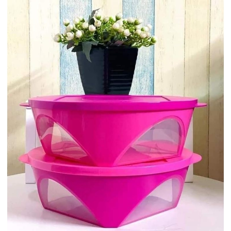 Tupperware Outdoor Dining Bowl 2.5L (2 pcs) | Shopee Philippines
