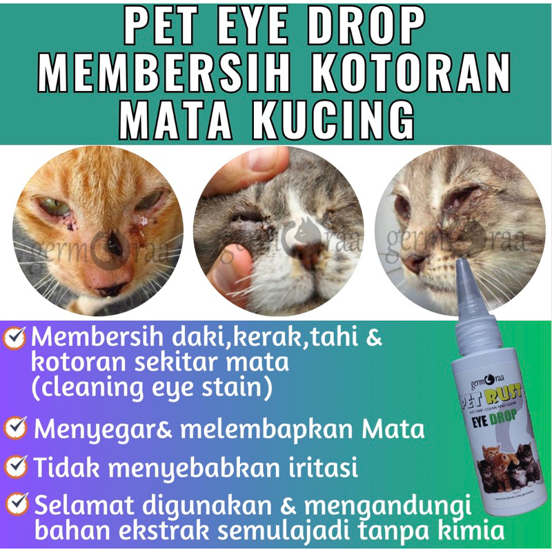 MATA Pet Eye Care Kitten Eye Drops Cat Eye dirt cleaner Watery Eyes ...