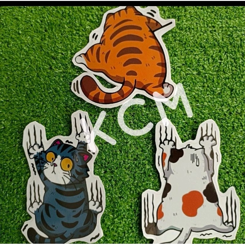 Fancy CAT/CAT STICKER (Train & Motorcycle) | Shopee Philippines