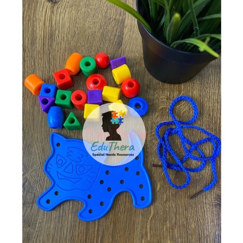 Lacing Threading Toys Fine Motor Special Needs Toy Occupational Therapy