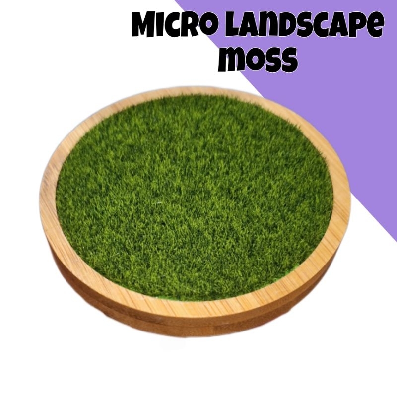 micro landscape moss fake with tray (diy diorama) | Shopee Philippines