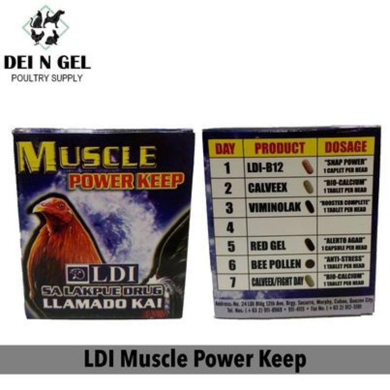 MUSCLE POWER KEEP 7 DAY CONDITIONING | Shopee Philippines
