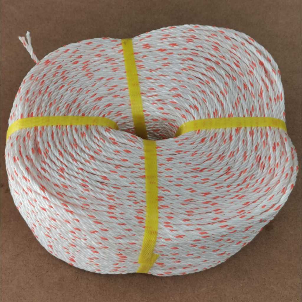 NYLON POLYPROPYLENE ROPE WHITE COLOR/ PP ROPE/ TALI - 4MM (1 Meter ...