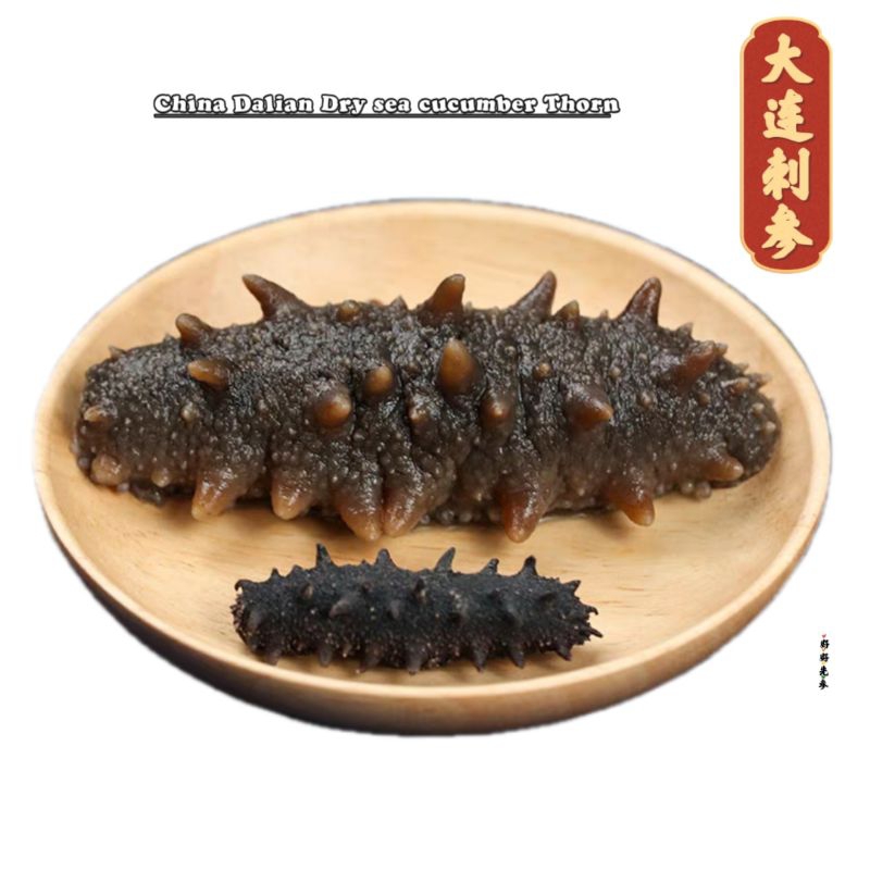 Dried sea cucumber, Good Quality, High Foaming Rate, Dalink sea