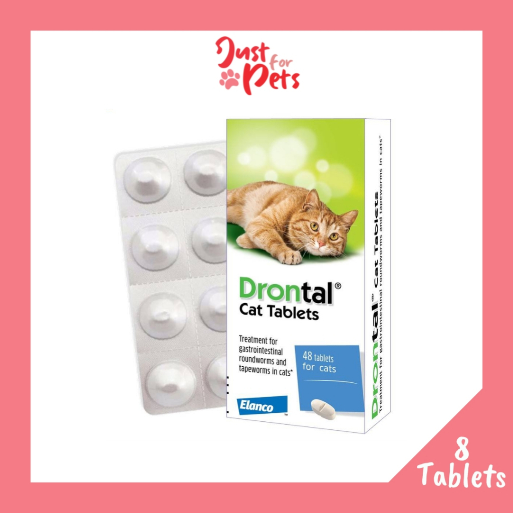 Bayer Drontal Cat Deworming Tablet (8 Tablets) Shopee Philippines