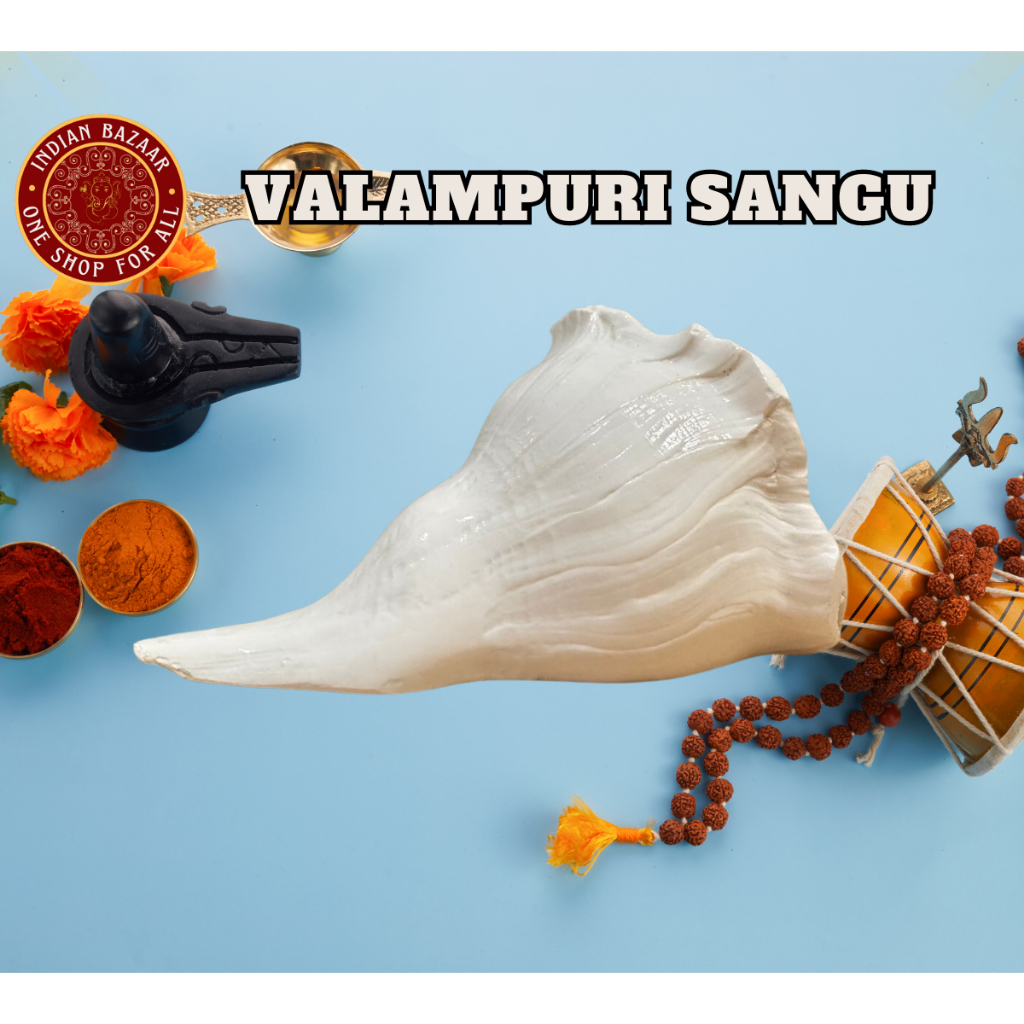 VALAMPURI SANGU/ DAKSHINAVARTI SHANKH /LAKSHMI SHANKH /CONCH/SHELL FROM ...