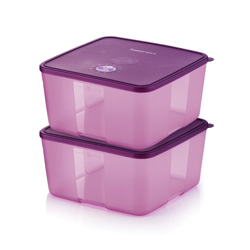Tupperware FreezerMate Square with Dial 2.3L(1pc) | Shopee Philippines