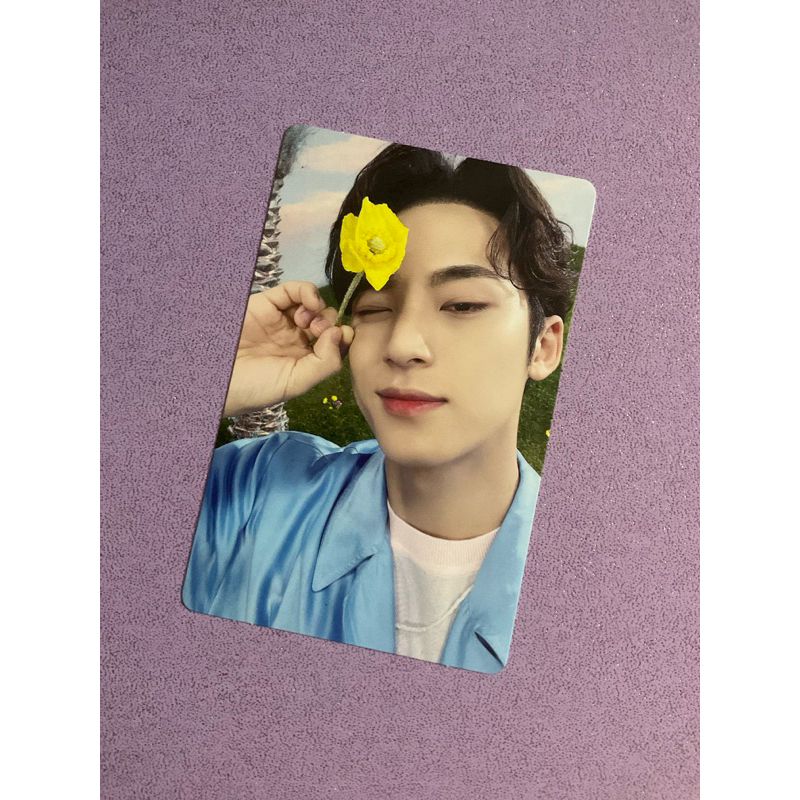 Official SEVENTEEN Photocard Mingyu Sector 17 Kit | Shopee Philippines