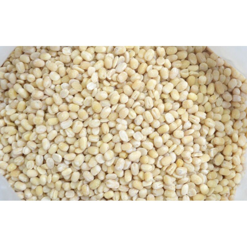 PUTIH Uluntu Nuts/Urad Dhal/Urad Gota/Ulunthu White (Commonly used for ...