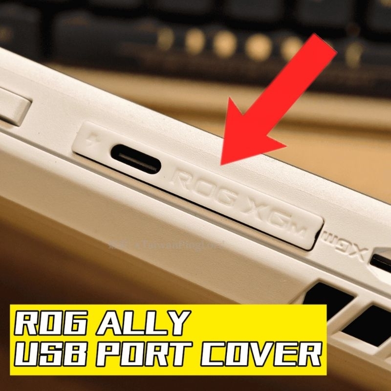 Rog Ally Usb Port Cover Good Quality Cover Usb Dock Port Shopee Philippines