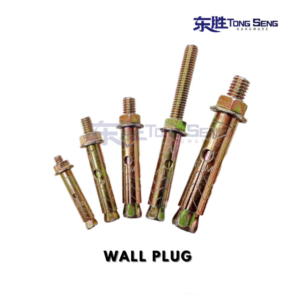 WALL PLUG BESI (6 DIFFERENT SIZES)(5PCS) | Shopee Philippines