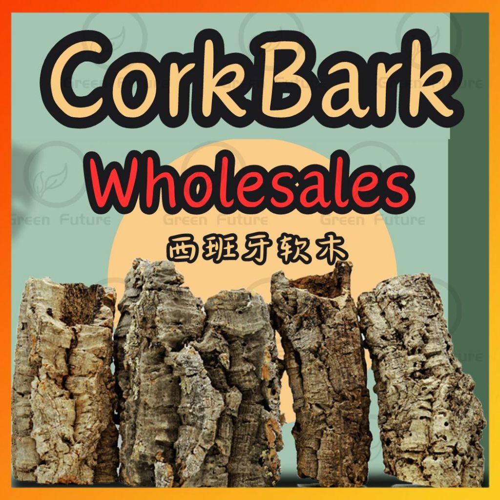 Corkbark CORK BARK Reptile Bark Bedding Cork Habitat Tree Bark Spider