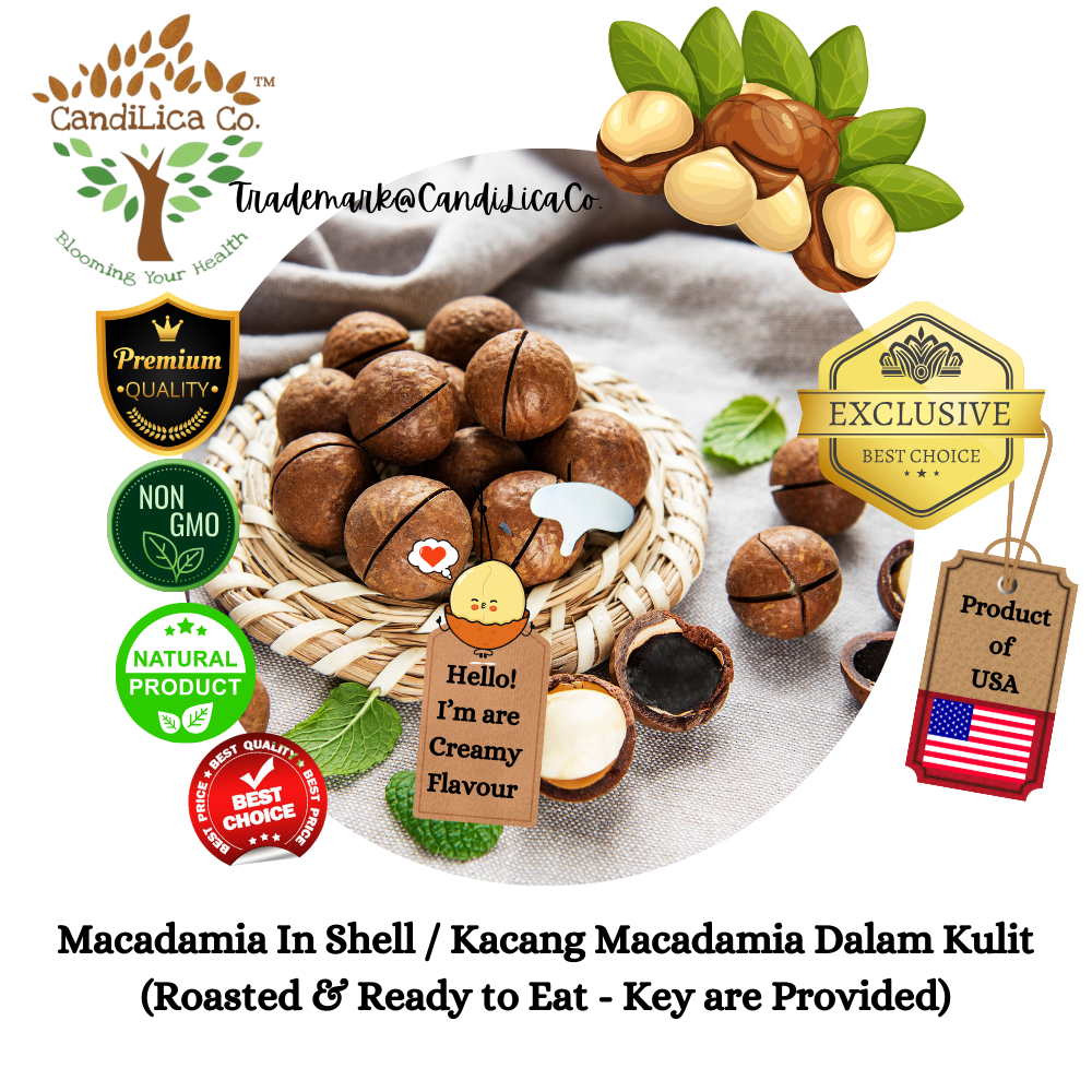 Premium Imported Roasted Macadamia In Shell/Macadamia Nuts In The Skin