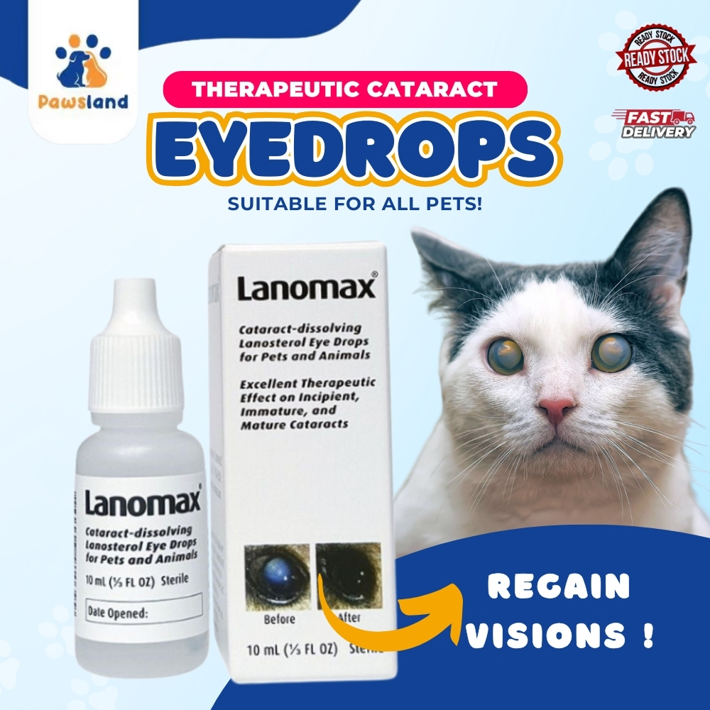 Lanomax Pet Cataract Eye Drops for Pets And Animals Cataract Care 10ML Shopee Philippines