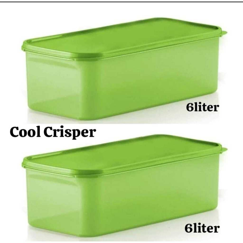 Storage Boxes Tupperware | Shopee Philippines