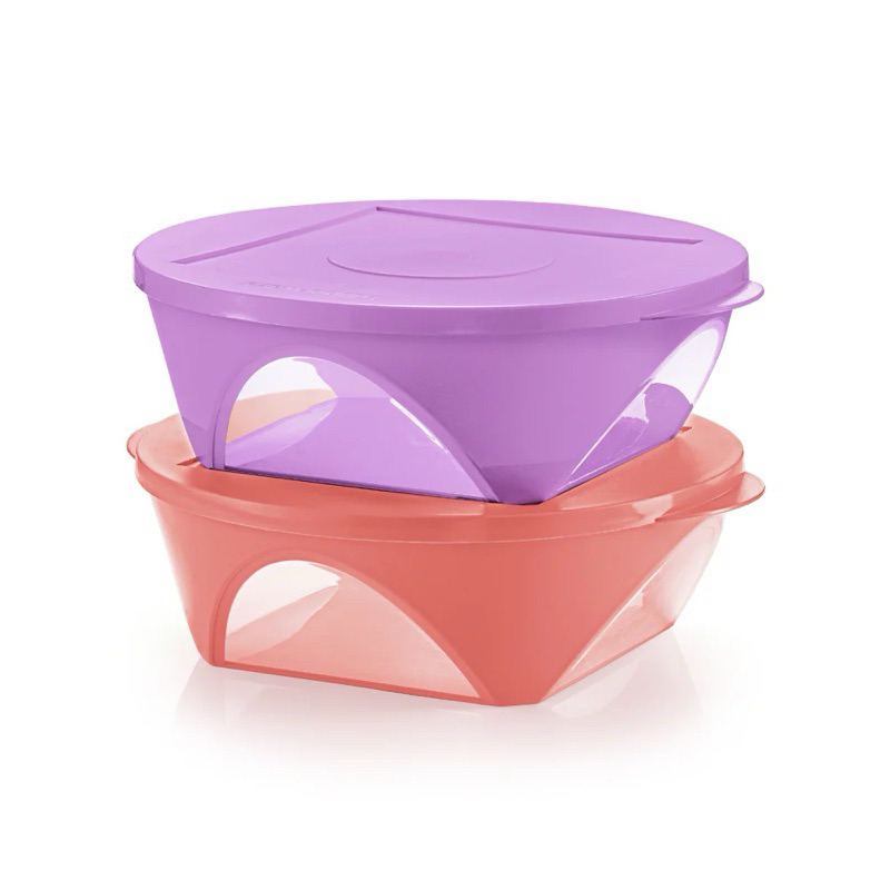 ( 1set 2pcs ) Tupperware Outdoor Dining Bowl 2.5L (2pcs) | Shopee ...