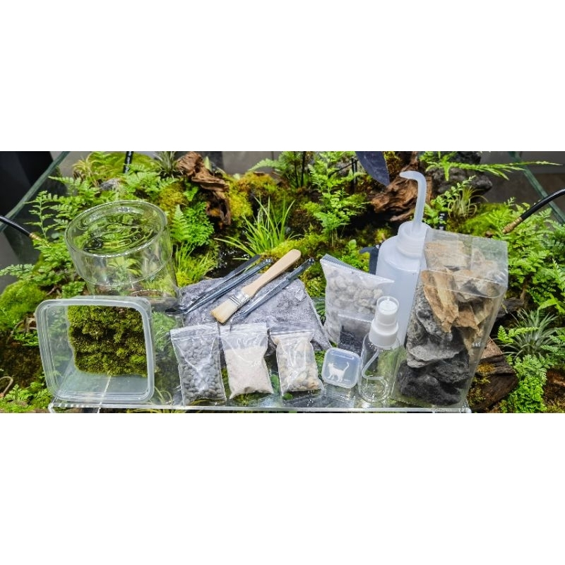 Terrarium DIY Kit with Glass Terrarium / Garden / Starter Kit / Live
