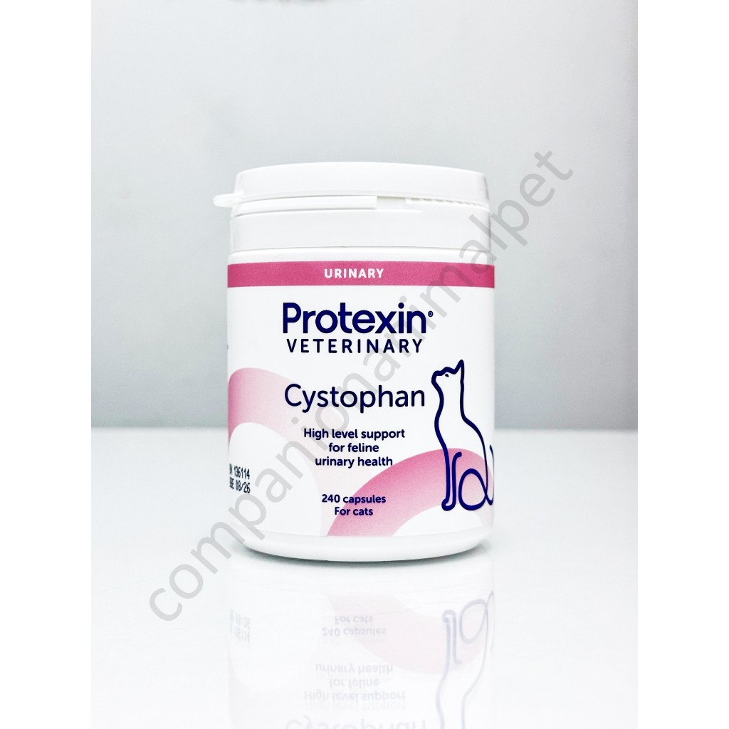 Cystophan for Cats - Urinary Supplement | Shopee Philippines