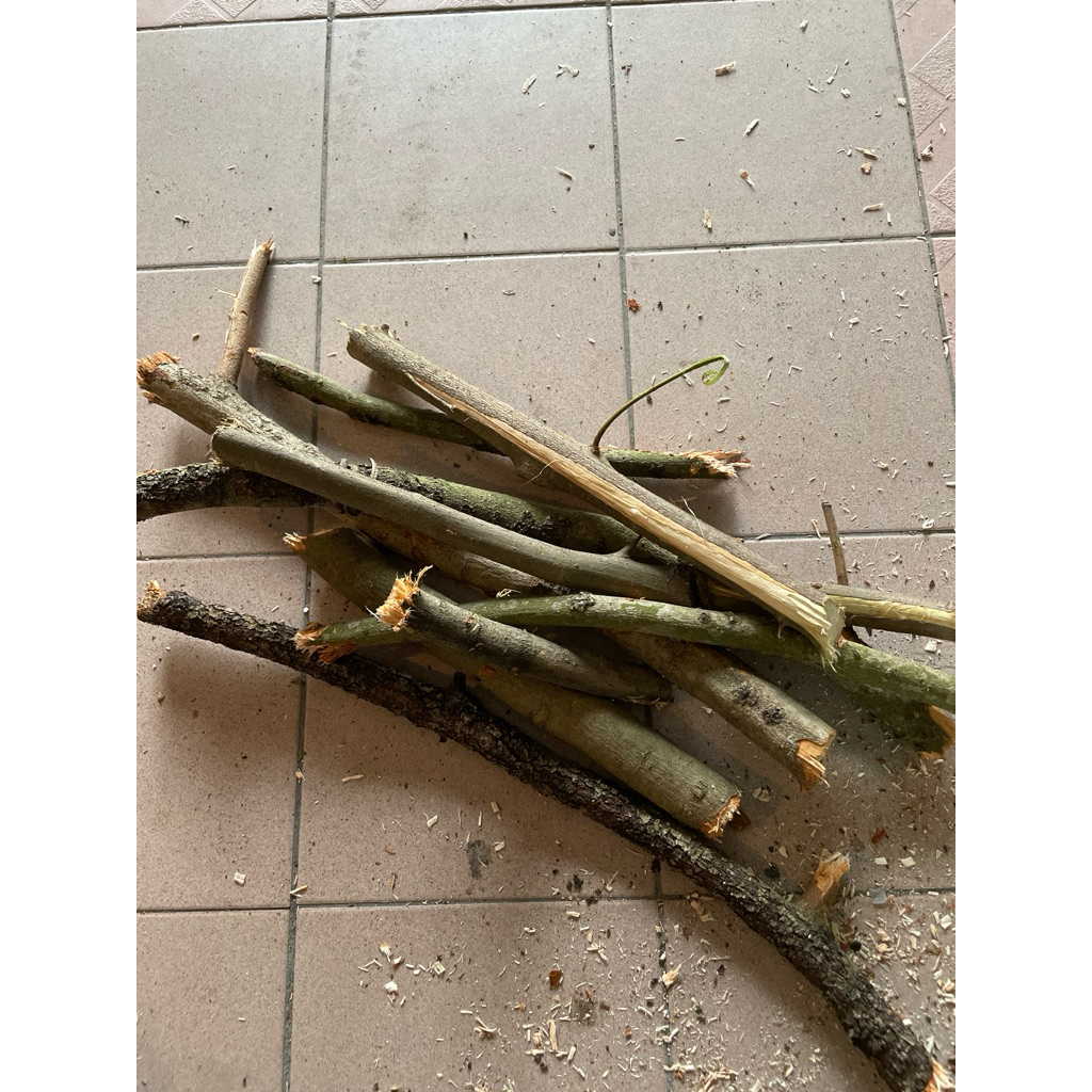 Bundle Set Kayu Api Camping Woodfire | Shopee Philippines
