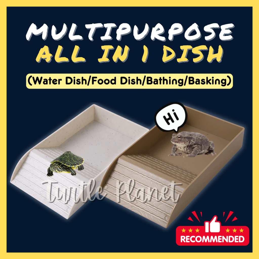 Tortoise Water Dish Reptile Water Food Bowls with Anti-Slip Ramp Tortoise Bath Dish Reptile Feeding