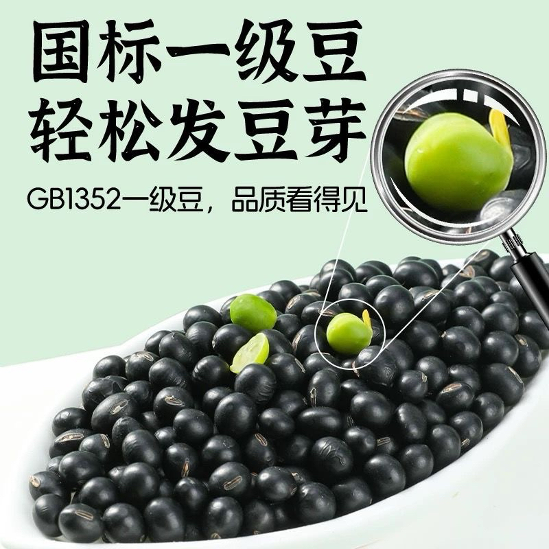 Green Core Black Bean Green Core Black Bean Green Core Black Bean ...