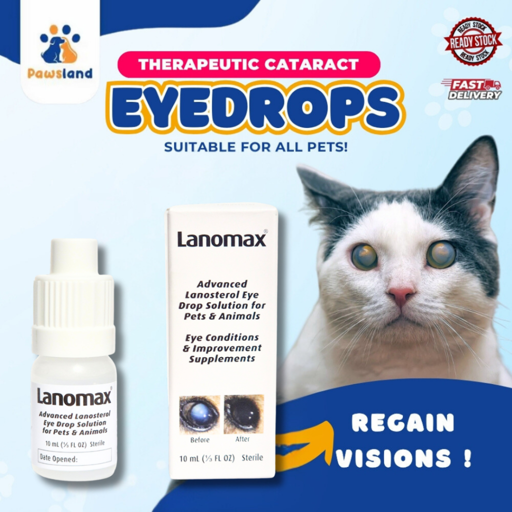 Cataract dissolving eye drops for dogs best sale