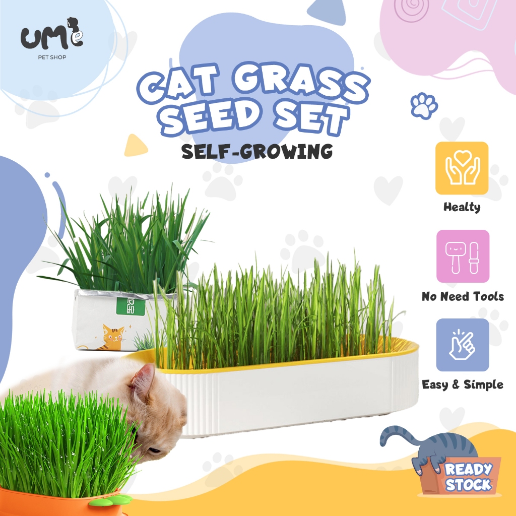Ume Pet Cat Grass Seed Set Self-Growing Soilless Cat Grass Hydroponic ...