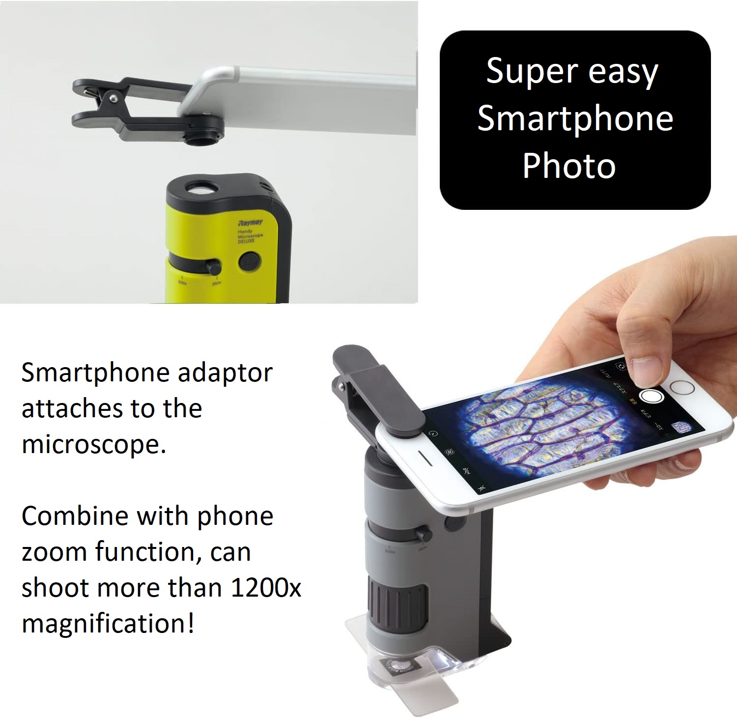 Raymay Fujii Handheld Microscope RXT300M Handy Portable Science Student ...